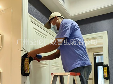 海幢住宅白蚁防治工程