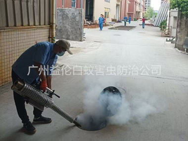 龙凤街道消灭蚊虫工程