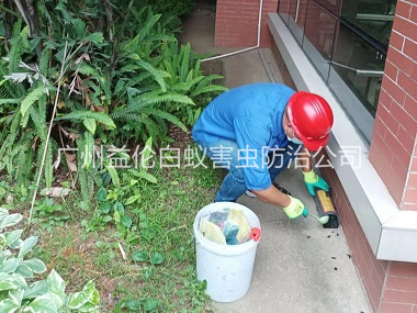 广州施药灭鼠工程