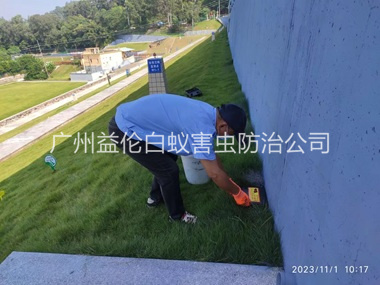 官洲堤坝鼠害防治工程