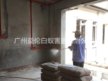 南石头装修预防白蚁工程