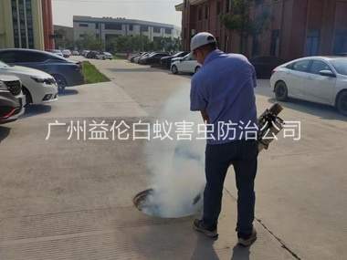 广州登革热防控消杀工程